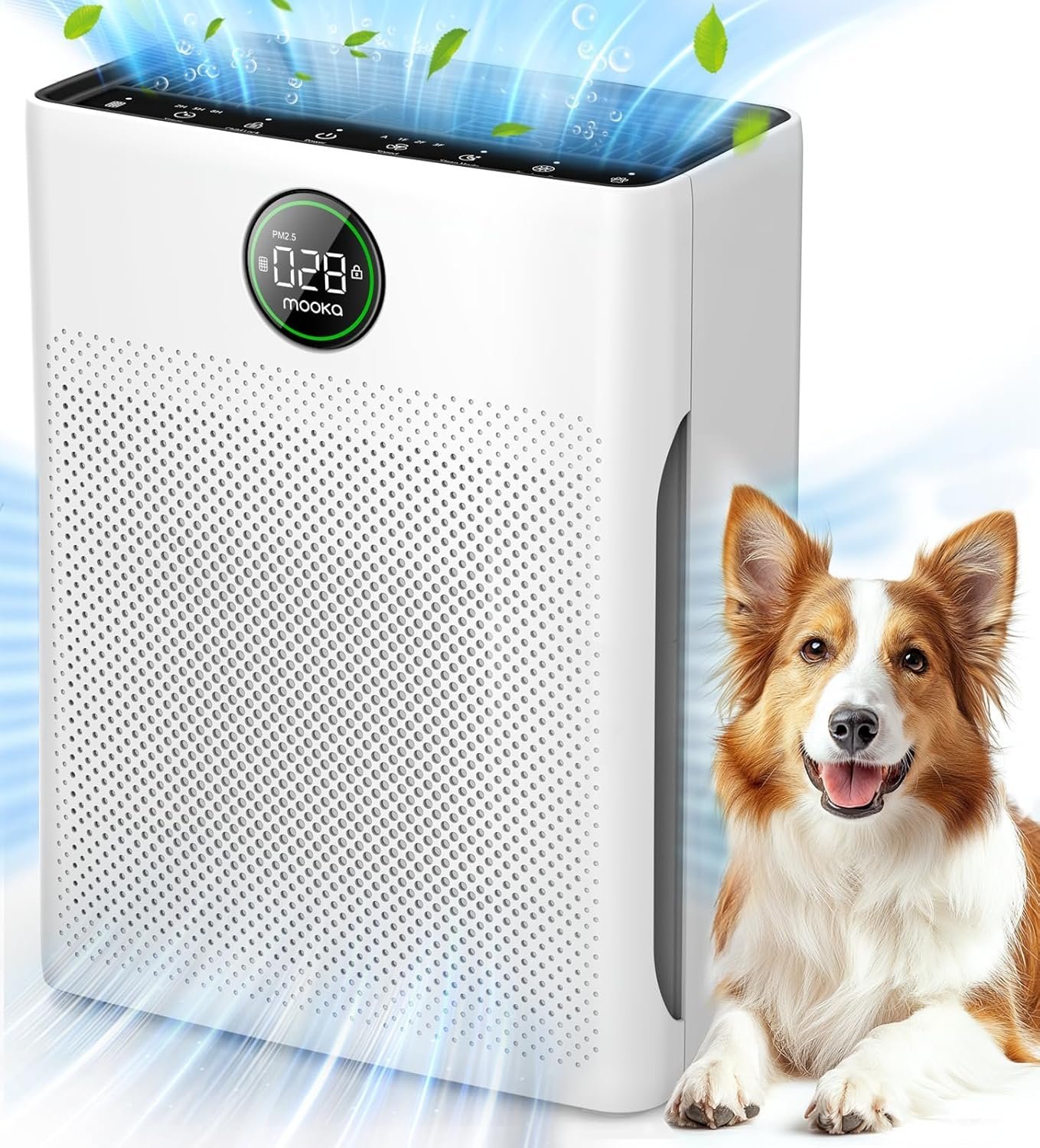 Air Purifier for Home and Large Rooms